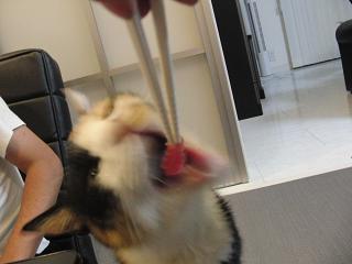 c0201113_2057349.jpg
