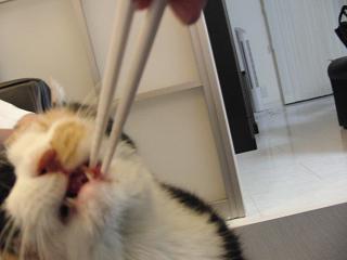 c0201113_20574848.jpg