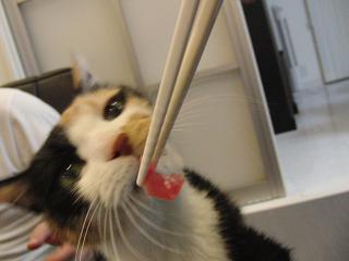 c0201113_20585736.jpg