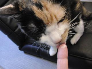 c0201113_214167.jpg