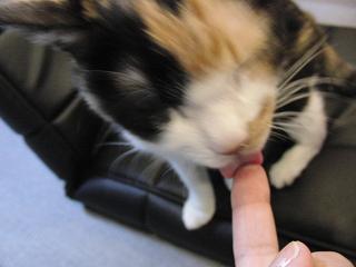 c0201113_2143282.jpg