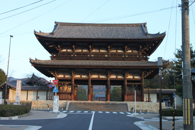 仁和寺 紅葉終盤_e0048413_8304561.jpg