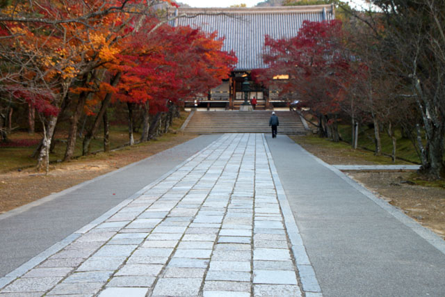 仁和寺 紅葉終盤_e0048413_8311635.jpg
