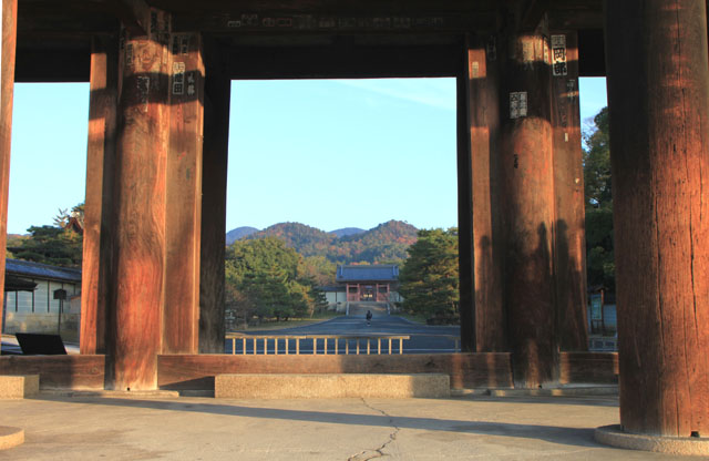 仁和寺 紅葉終盤_e0048413_831413.jpg