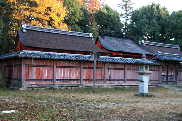仁和寺 紅葉終盤_e0048413_8321719.jpg