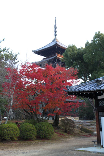 仁和寺 紅葉終盤_e0048413_832495.jpg