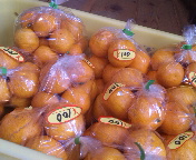 f0140715_8432820.jpg