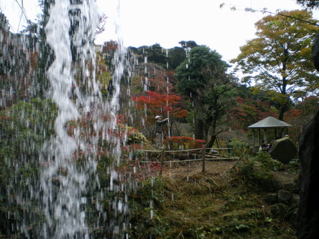 c0124619_8595533.jpg
