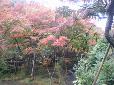 c0124619_9144749.jpg