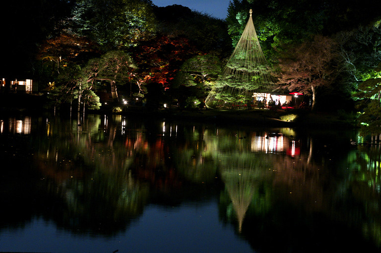 六義園紅葉ライトアップ　　　2010-12-01_c0153534_10335474.jpg