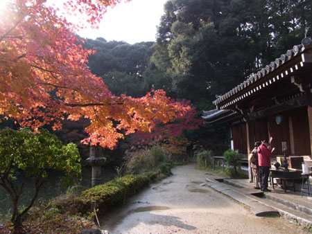 京都の秋！　　　　　Kyoto in fall!_b0029036_11581680.jpg