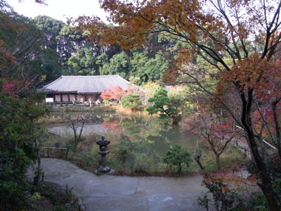 京都の秋！　　　　　Kyoto in fall!_b0029036_11583452.jpg