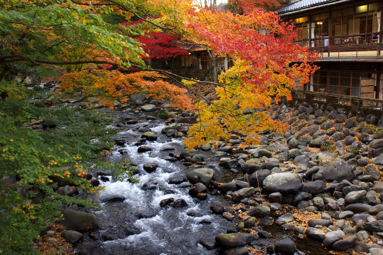 紅葉散策８　修善寺温泉_d0029744_1216296.jpg