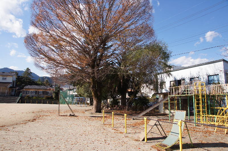 尾鷲小学校を訪ねる・・・_e0111346_15441249.jpg