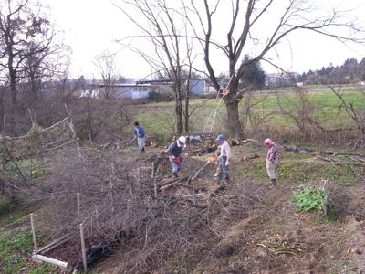 c0063348_6584125.jpg