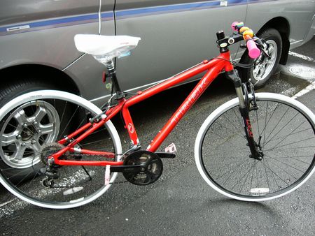 続 トレック クロスバイクのカスタム_e0140354_137383.jpg
