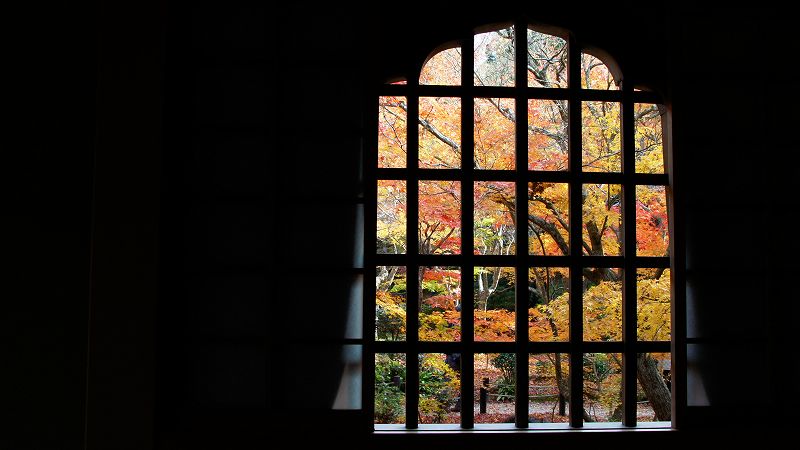 錦秋の都路２０１０ (一乗寺 臨済宗南禅寺派 円光寺「十牛の庭」の紅葉) (2010年12月03日)_c0119555_16195450.jpg