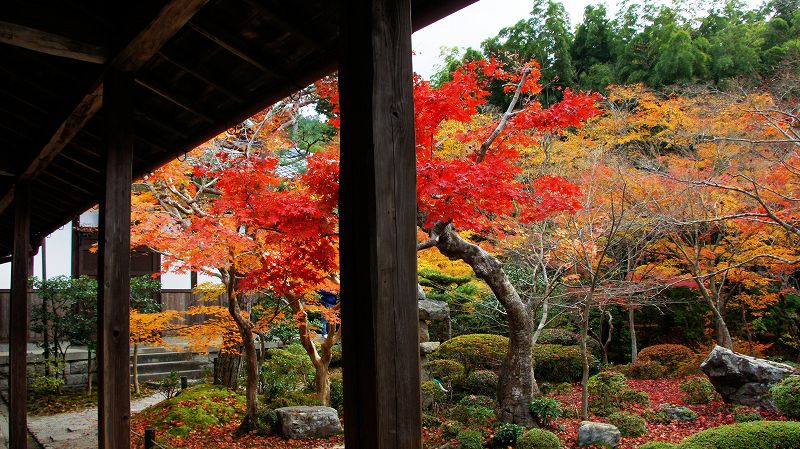 錦秋の都路２０１０ (一乗寺 臨済宗南禅寺派 円光寺「十牛の庭」の紅葉) (2010年12月03日)_c0119555_16214386.jpg