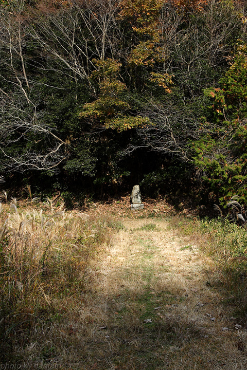 岡山県久米南町 奥谷池_f0091955_5425457.jpg