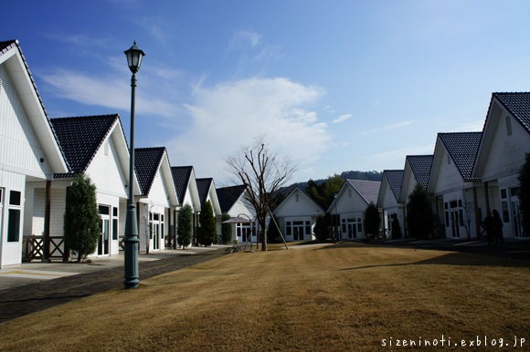 f0147858_23395662.jpg