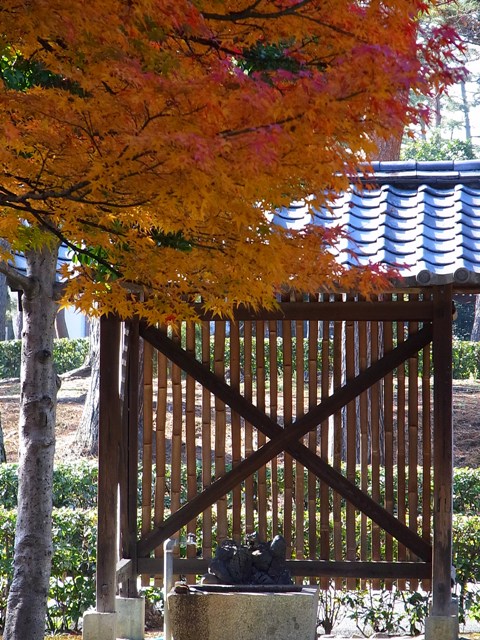 禅の寺を撮る（京都・相国寺）_d0090161_9544566.jpg