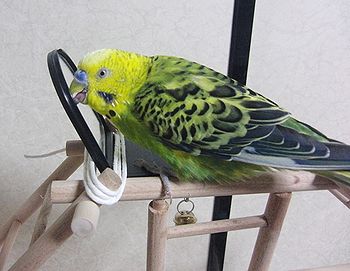 f0196665_06916.jpg