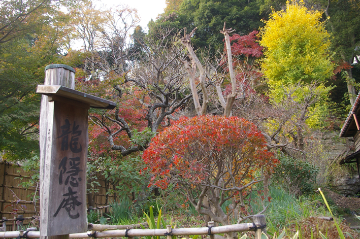 10年の鎌倉の紅葉狩り②龍隠庵（円覚寺塔頭）は超穴場！_c0014967_8575717.jpg