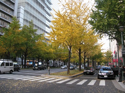 e0041168_9573597.jpg