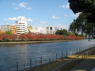 e0041168_9585092.jpg