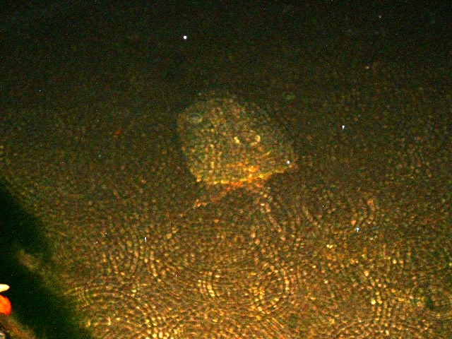 c0105569_104270.jpg