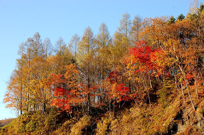 紅葉・夕張2010　～最終章～_d0140869_23471926.jpg