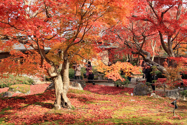 紅葉の京都旅行　第二日目（11月30日）_b0041473_10512163.jpg