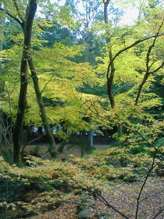 f0144773_085529.jpg