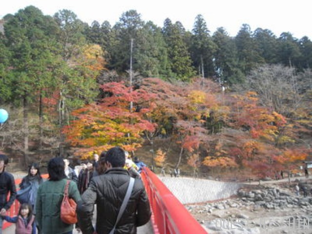 2010.11.30_c0197974_2593980.jpg