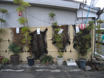 2010.11.30_c0197974_3255270.jpg