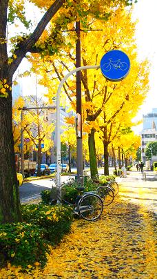 なにわ筋と出勤_f0202682_11165839.jpg