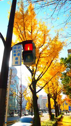 なにわ筋と出勤_f0202682_11171212.jpg