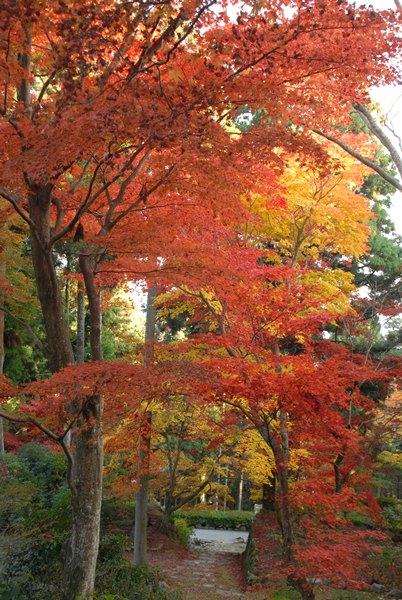 一乗寺　・　清水寺_d0074683_144620.jpg