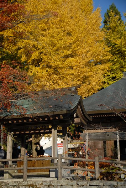 一乗寺　・　清水寺_d0074683_147425.jpg