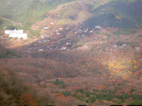 紅葉の箱根　駆け足旅　その１０_c0147790_23431092.jpg