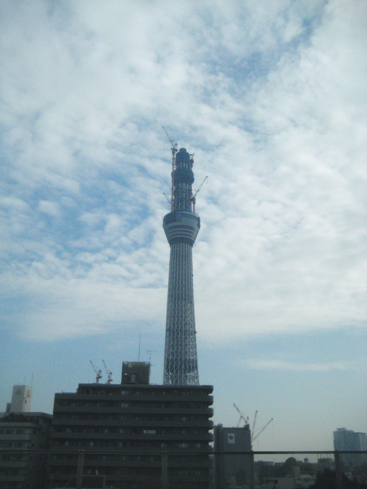 着々と進んでいます。_a0117794_10525359.jpg