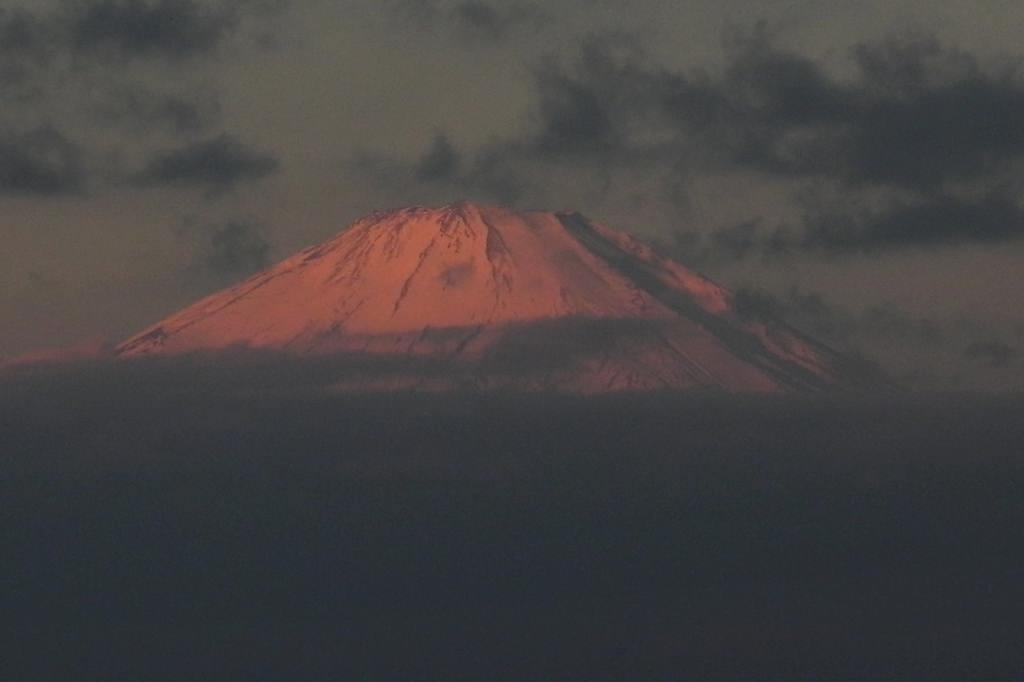 今期初撮りのカシラダカ&ホオジロ/不思議な色の空_b0024798_77432.jpg