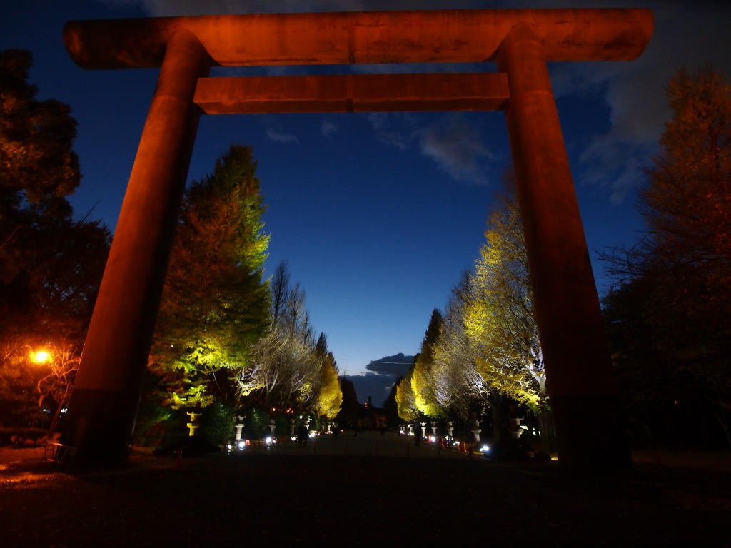 靖国神社、銀杏ライトアップ_f0224100_12434174.jpg