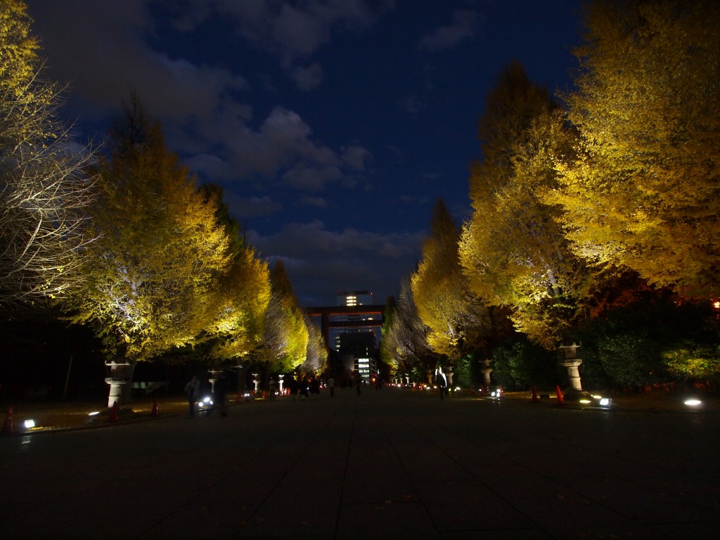 靖国神社、銀杏ライトアップ_f0224100_12571541.jpg