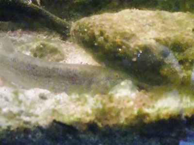 f0082402_1756366.jpg