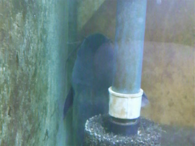 f0082402_1758599.jpg