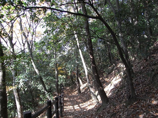 f0187402_17412761.jpg