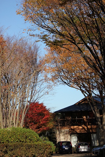 e0141203_2120158.jpg