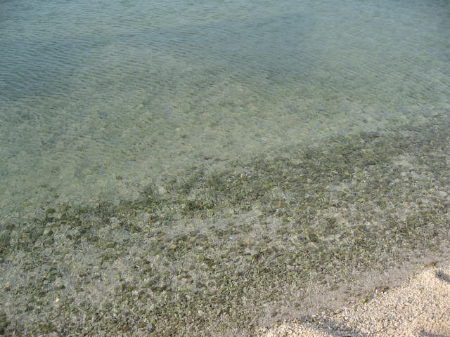 a0100706_15212168.jpg