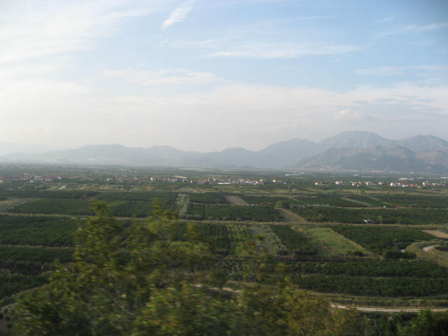 a0100706_1674313.jpg